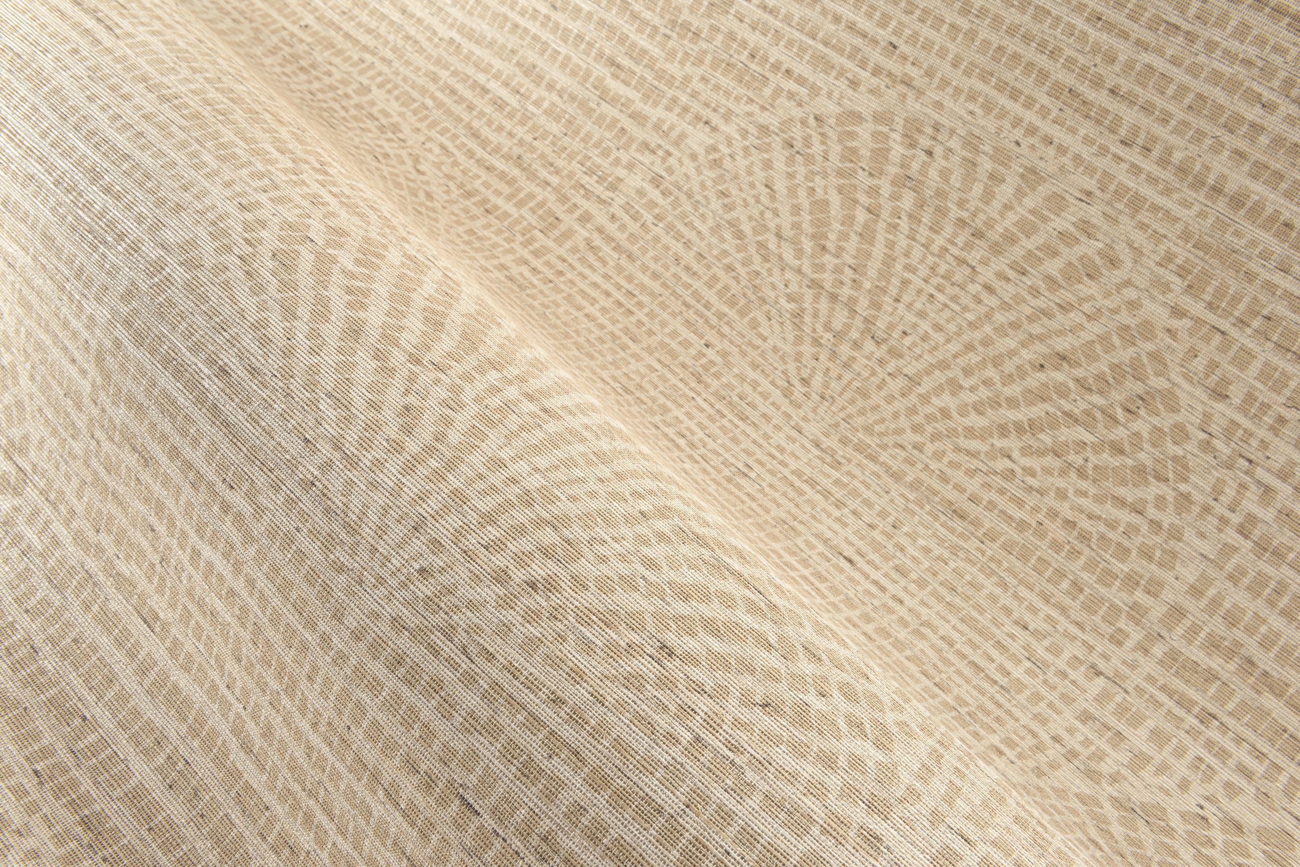Cupula