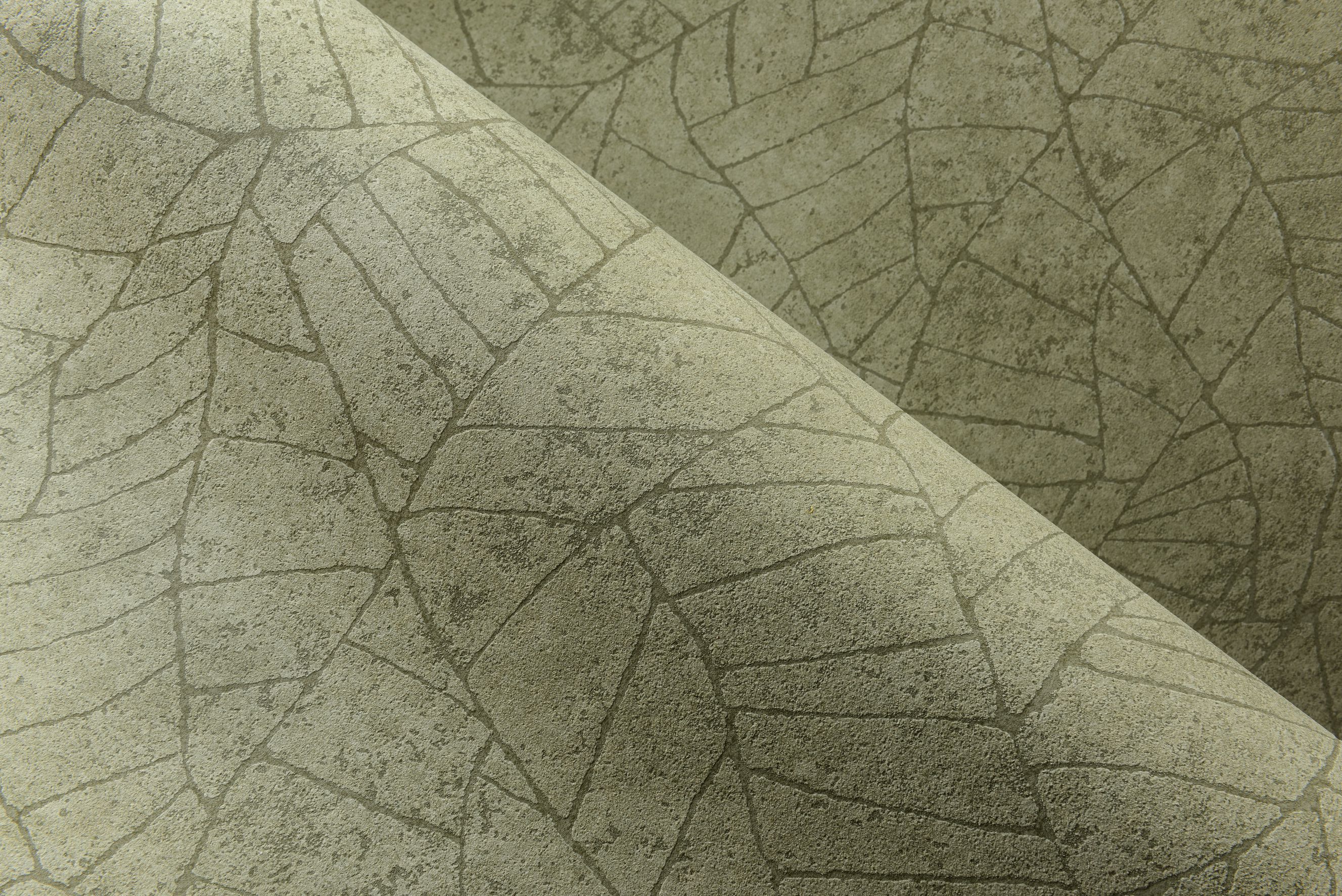 Fragment