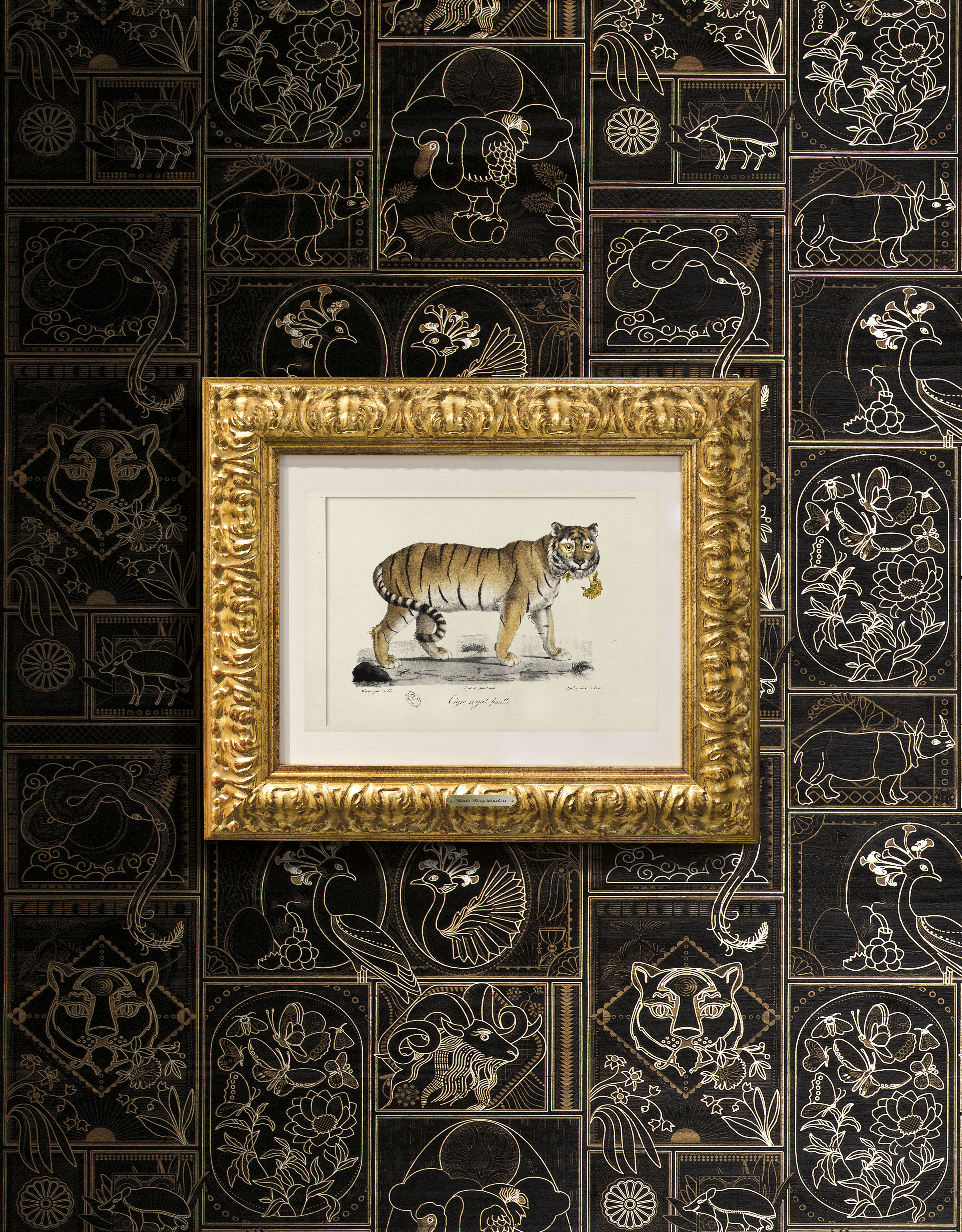 Golden Tiger
