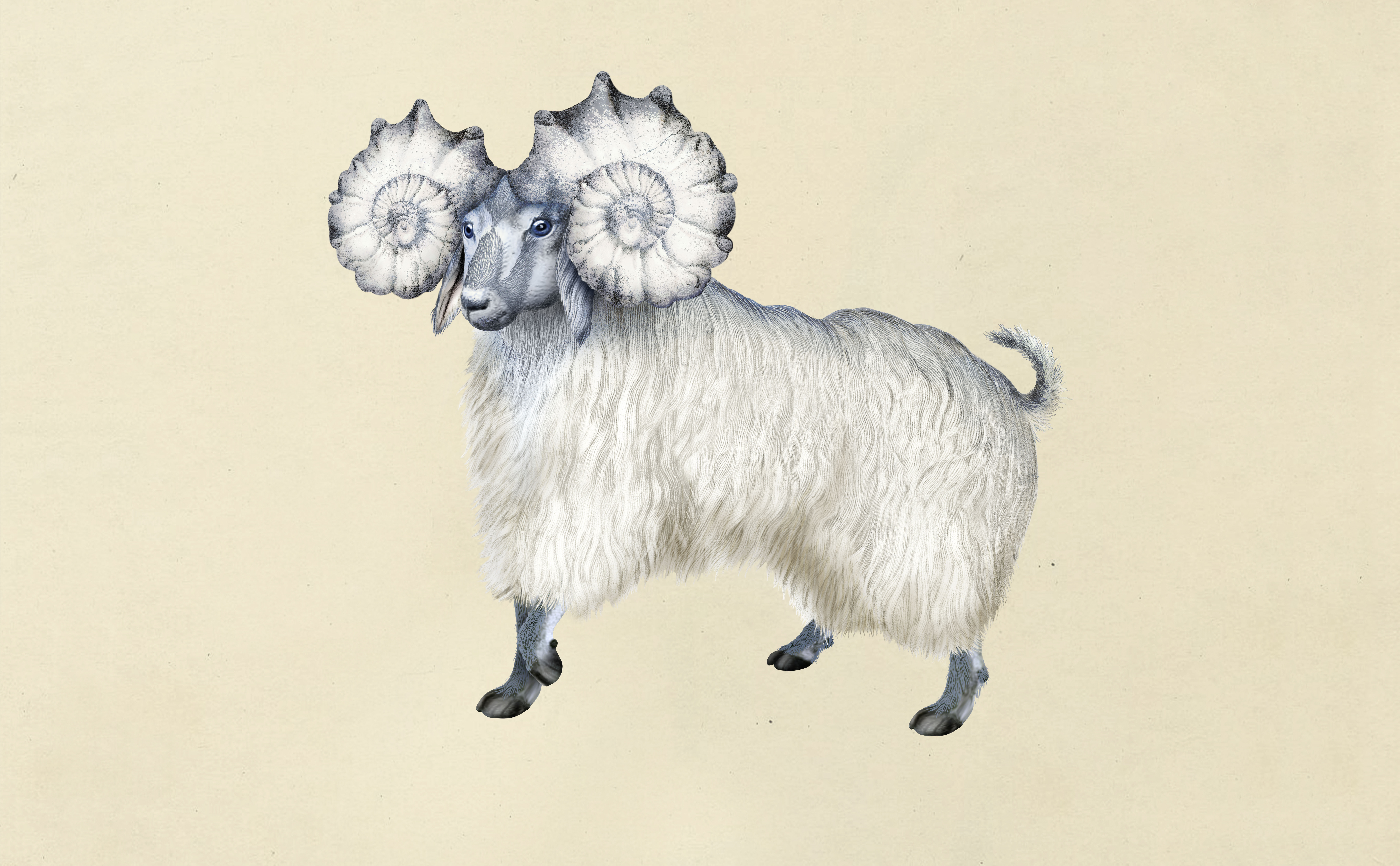 Pogo Goat