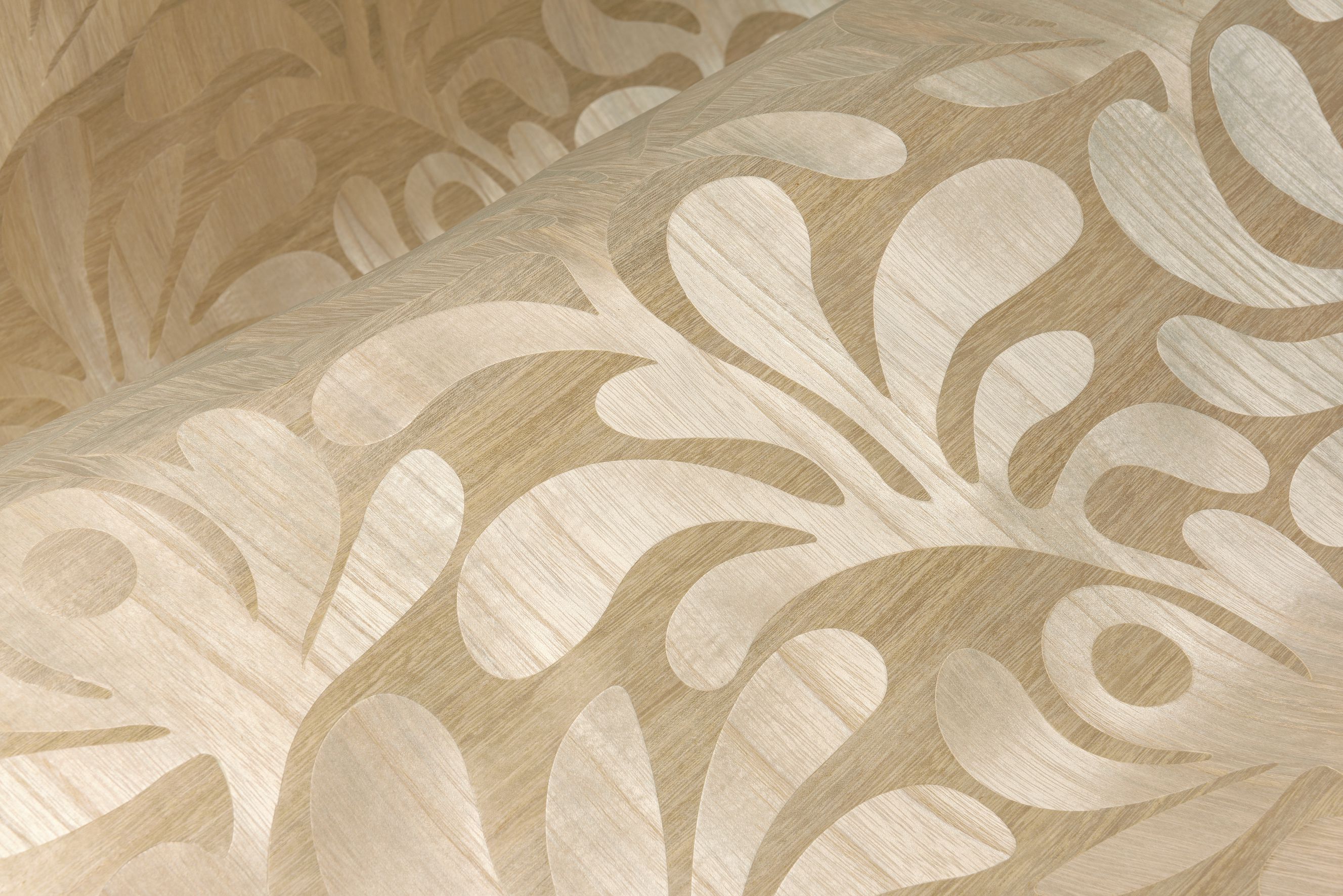 Woodblock Beetle Fern