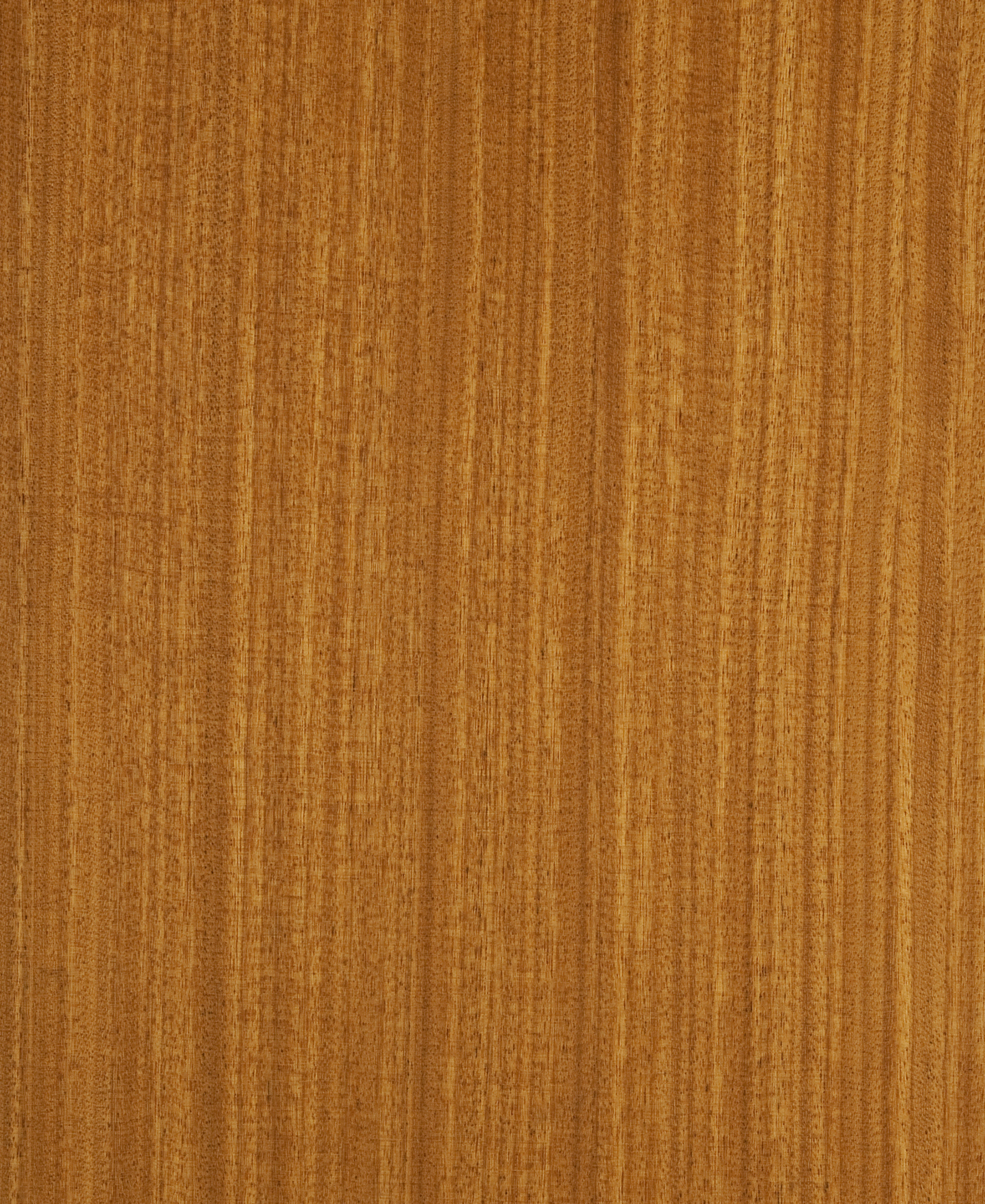 Afrormosia