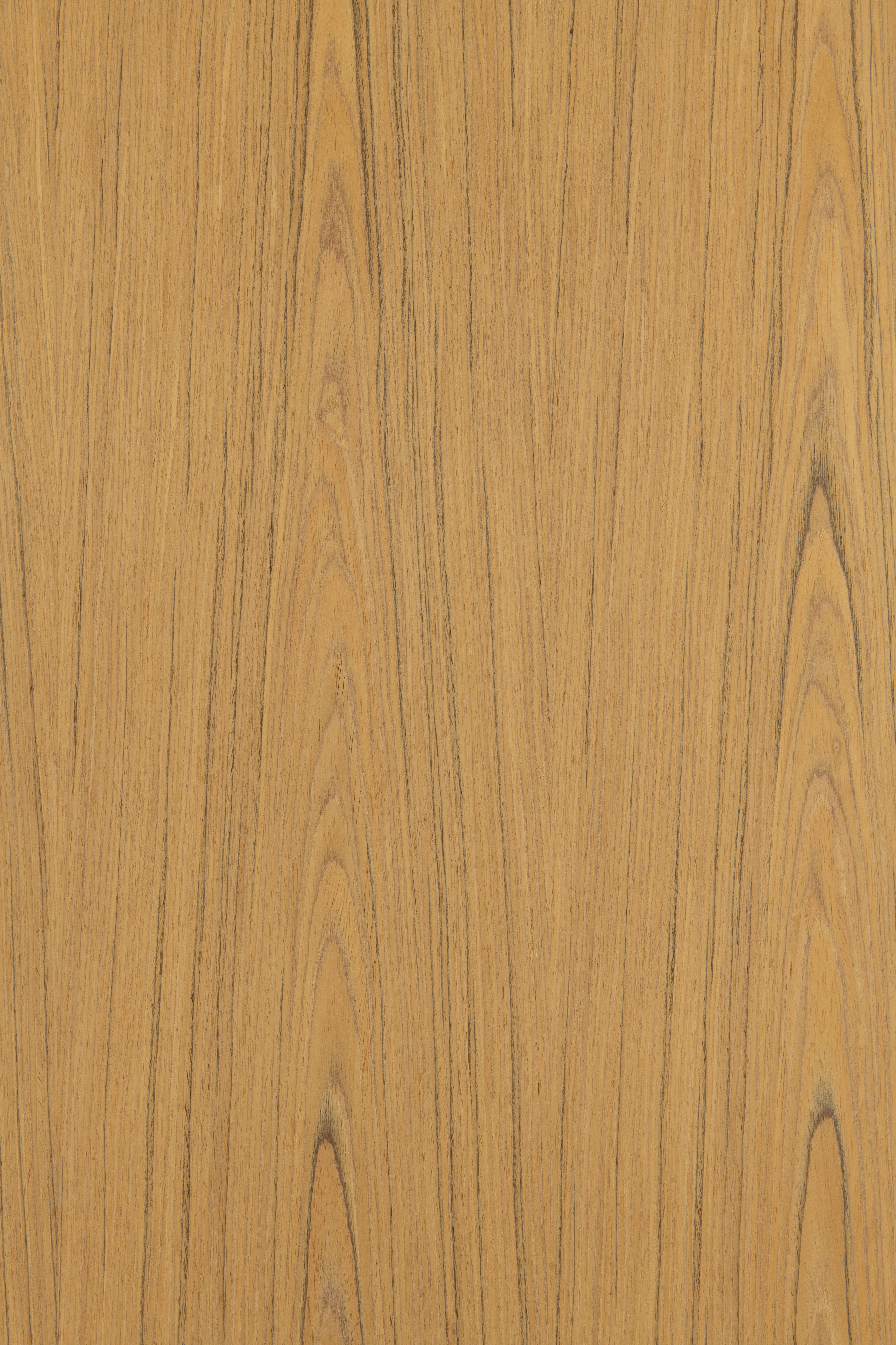Antares Teak