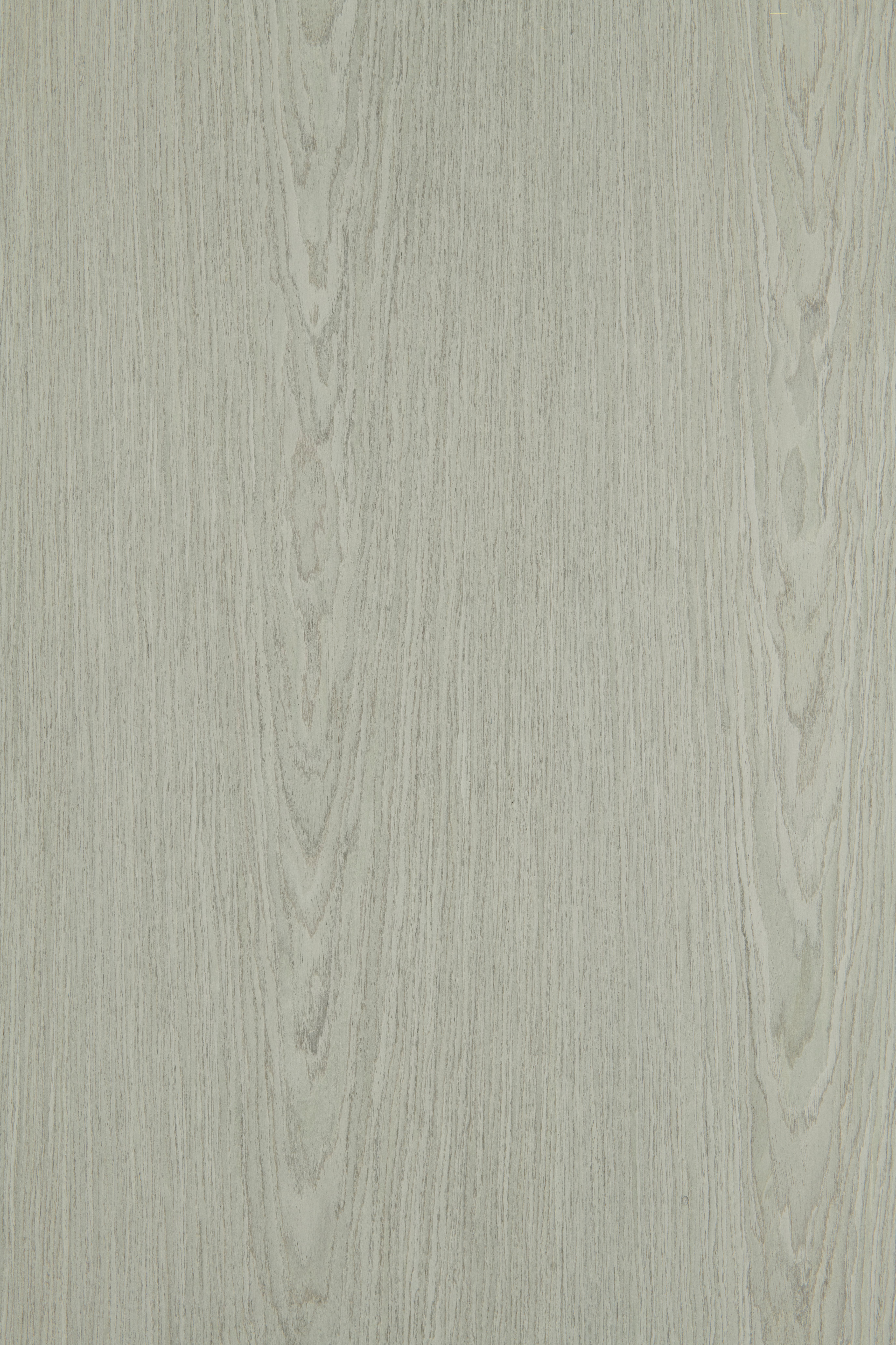 Atria Oak