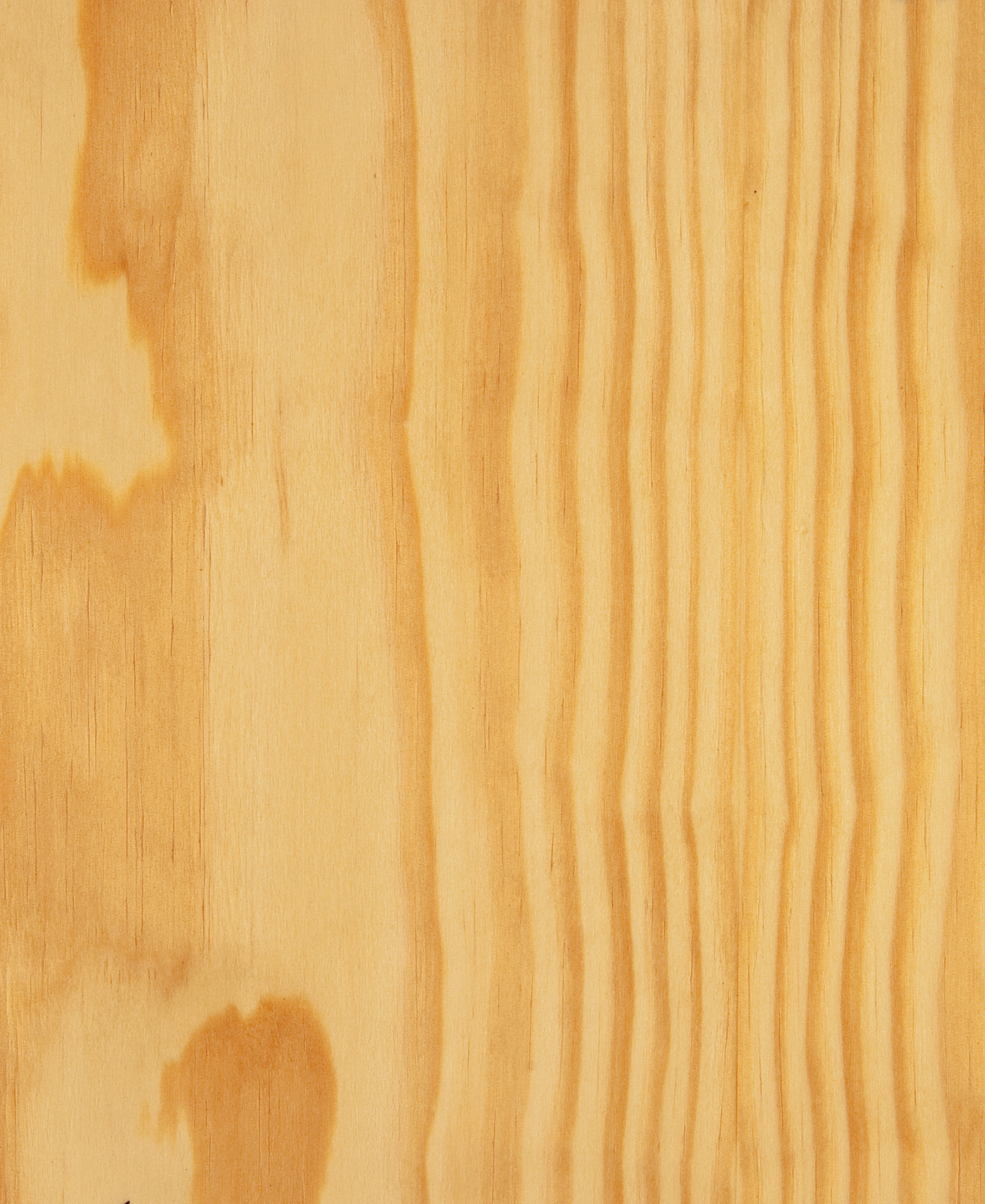 Carolina Pine