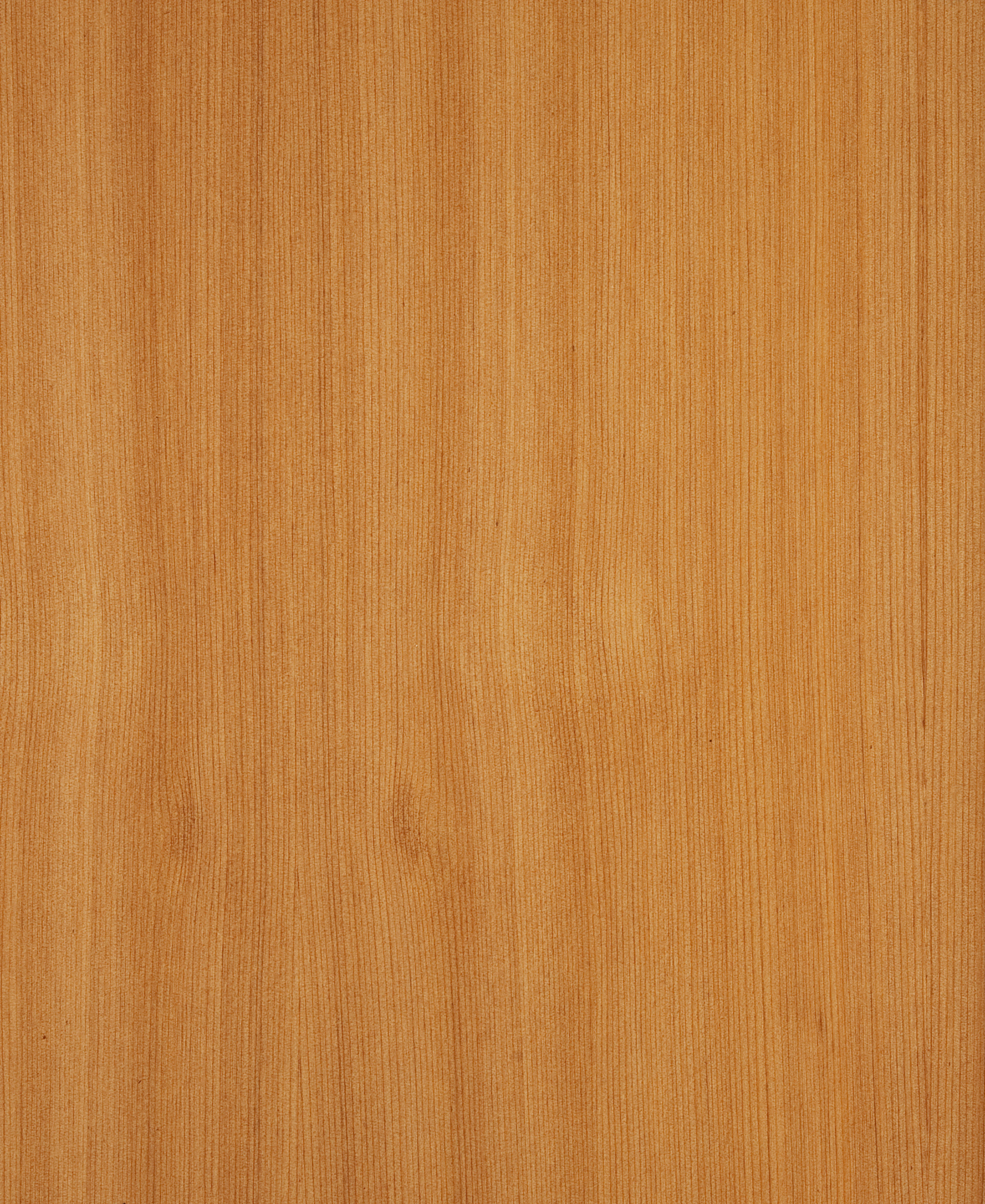 Ceder Western Red