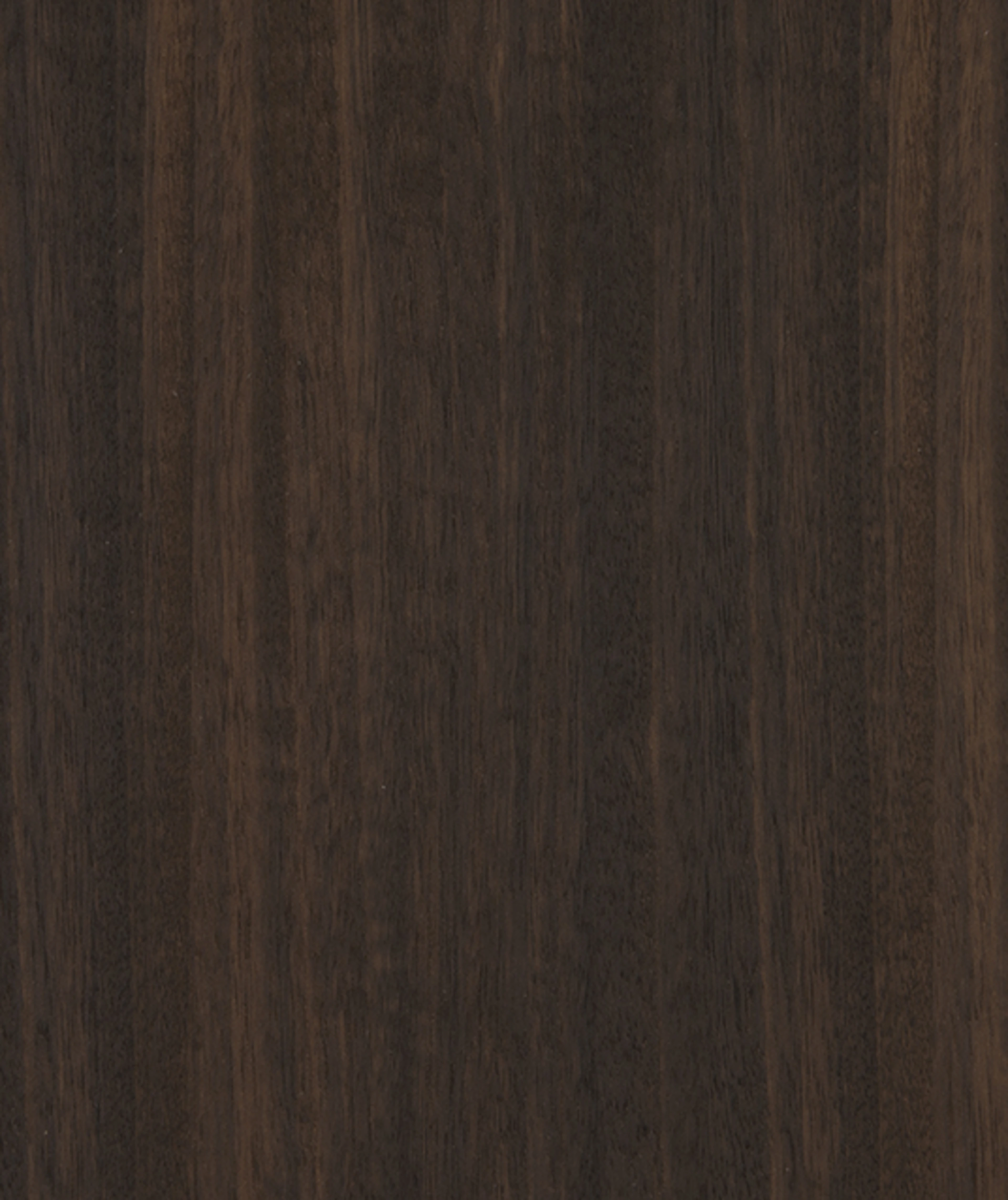 Eucalyptus Kerngerookt