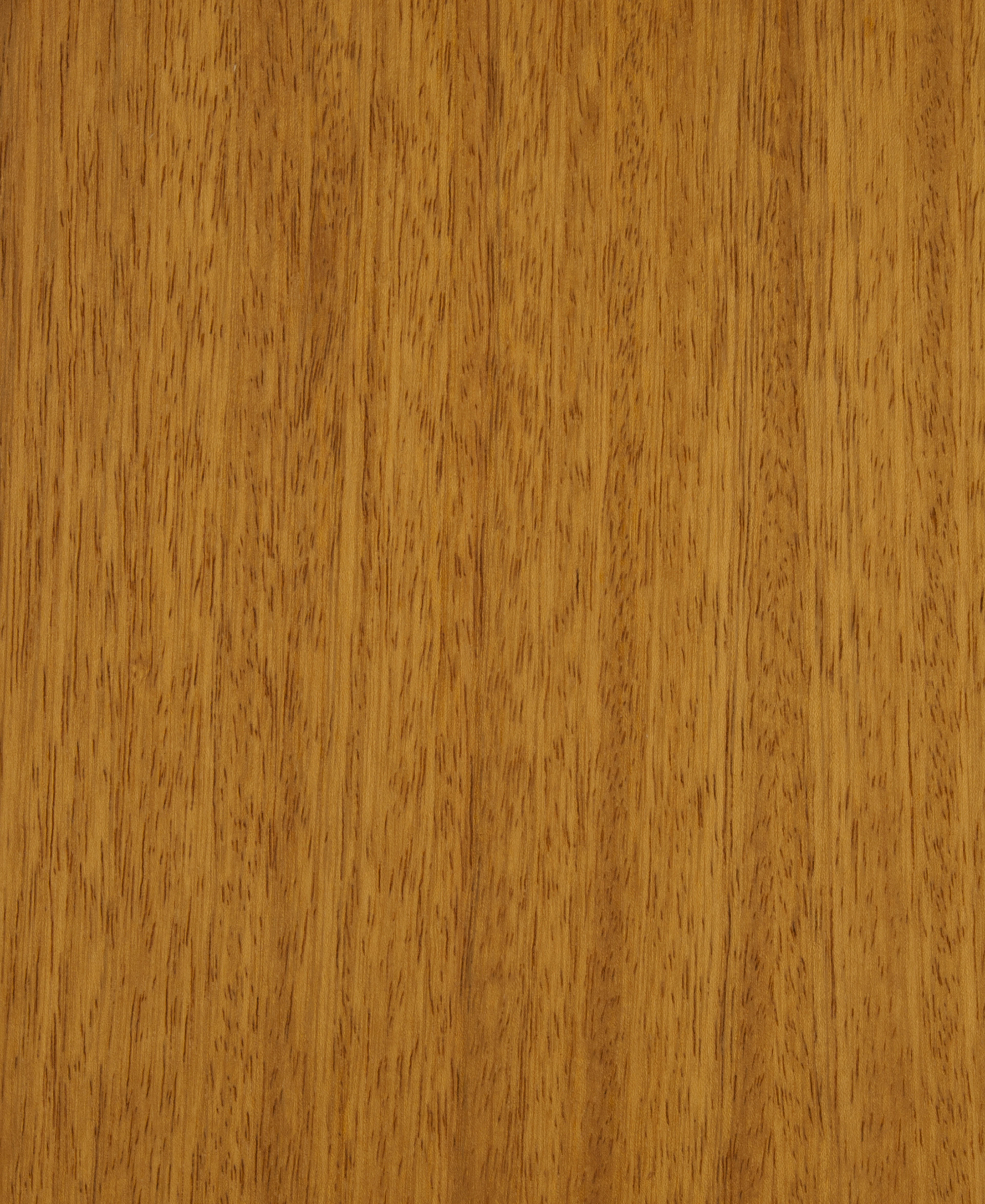Iroko