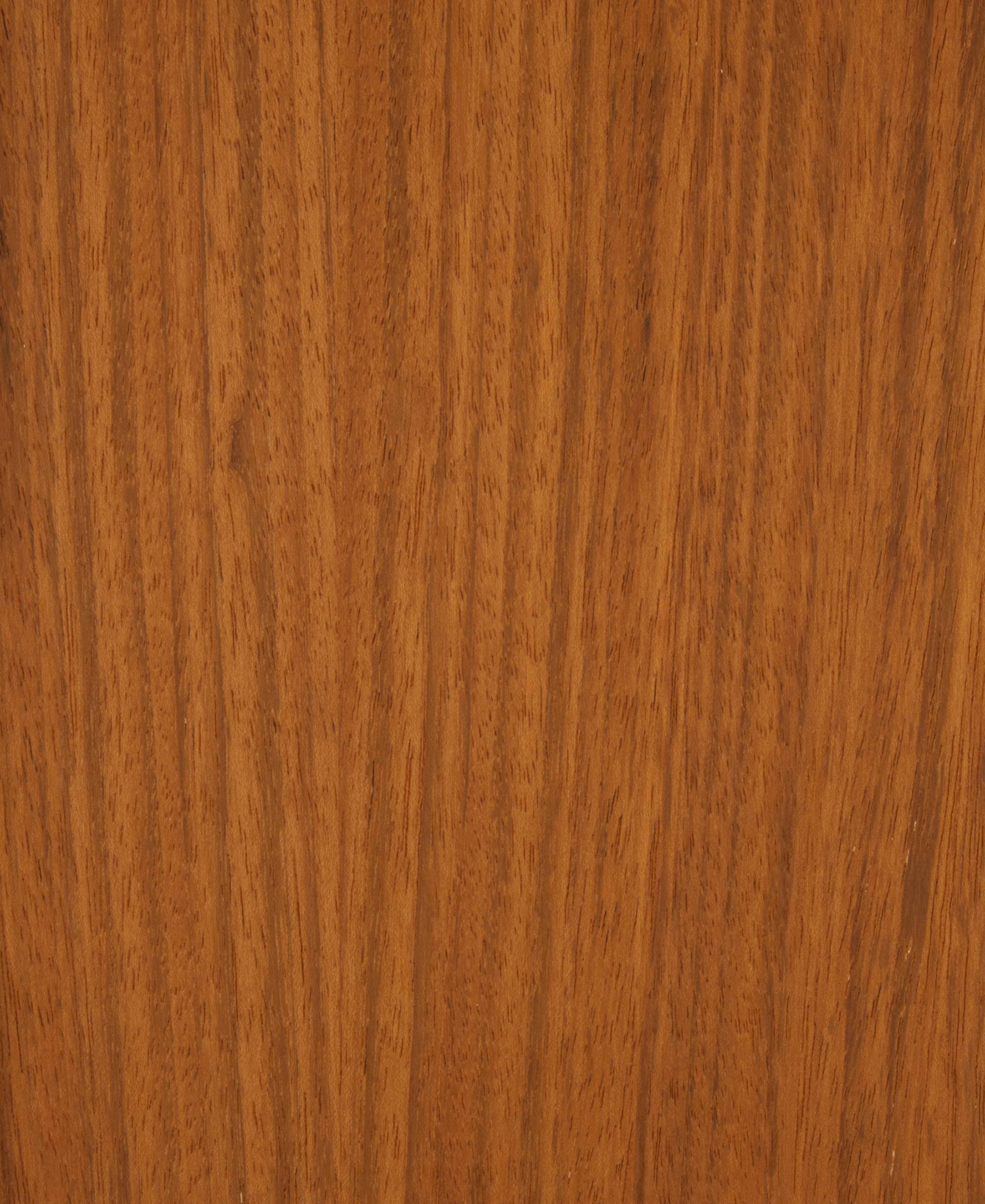 Jatoba