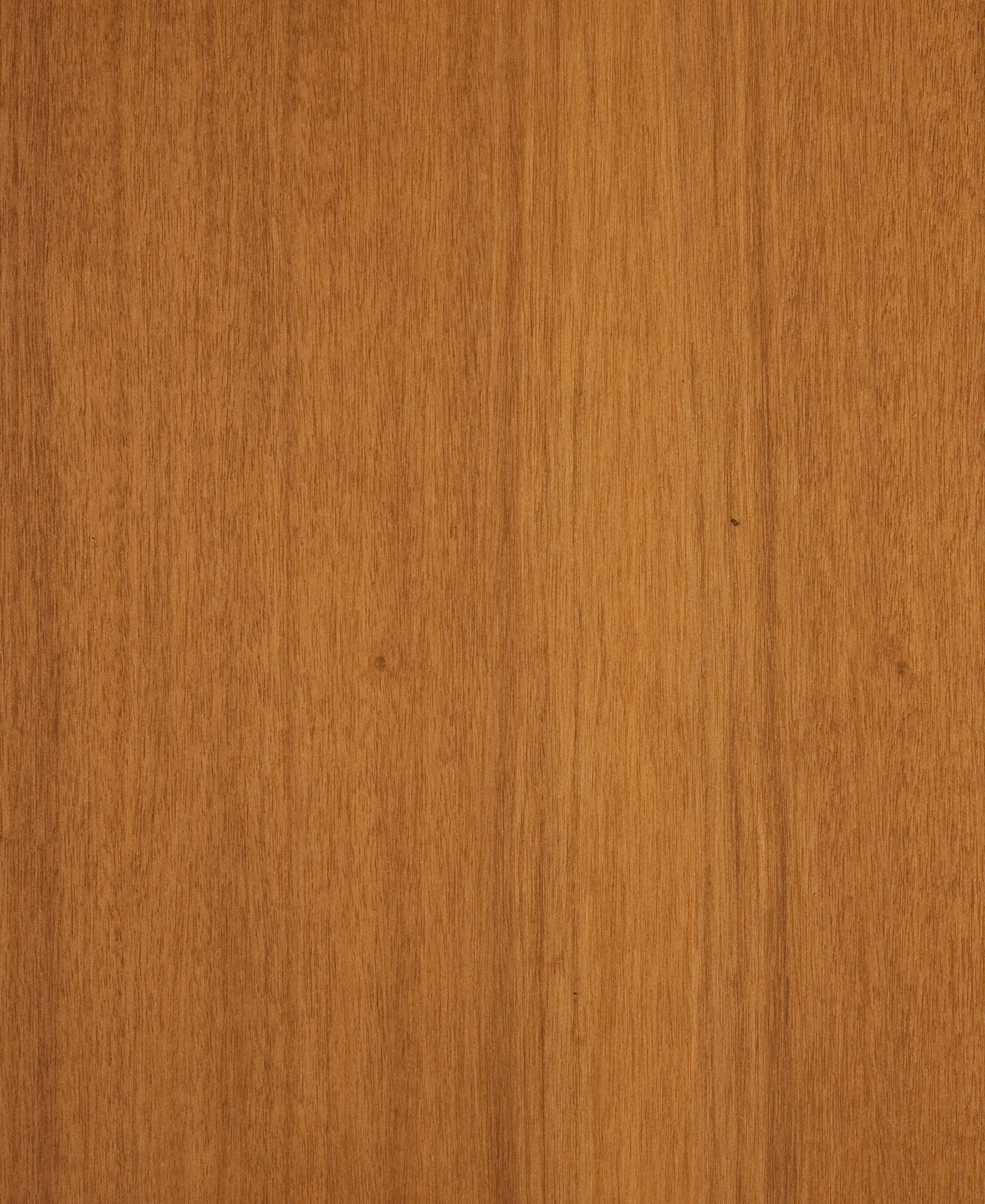 Mansonia