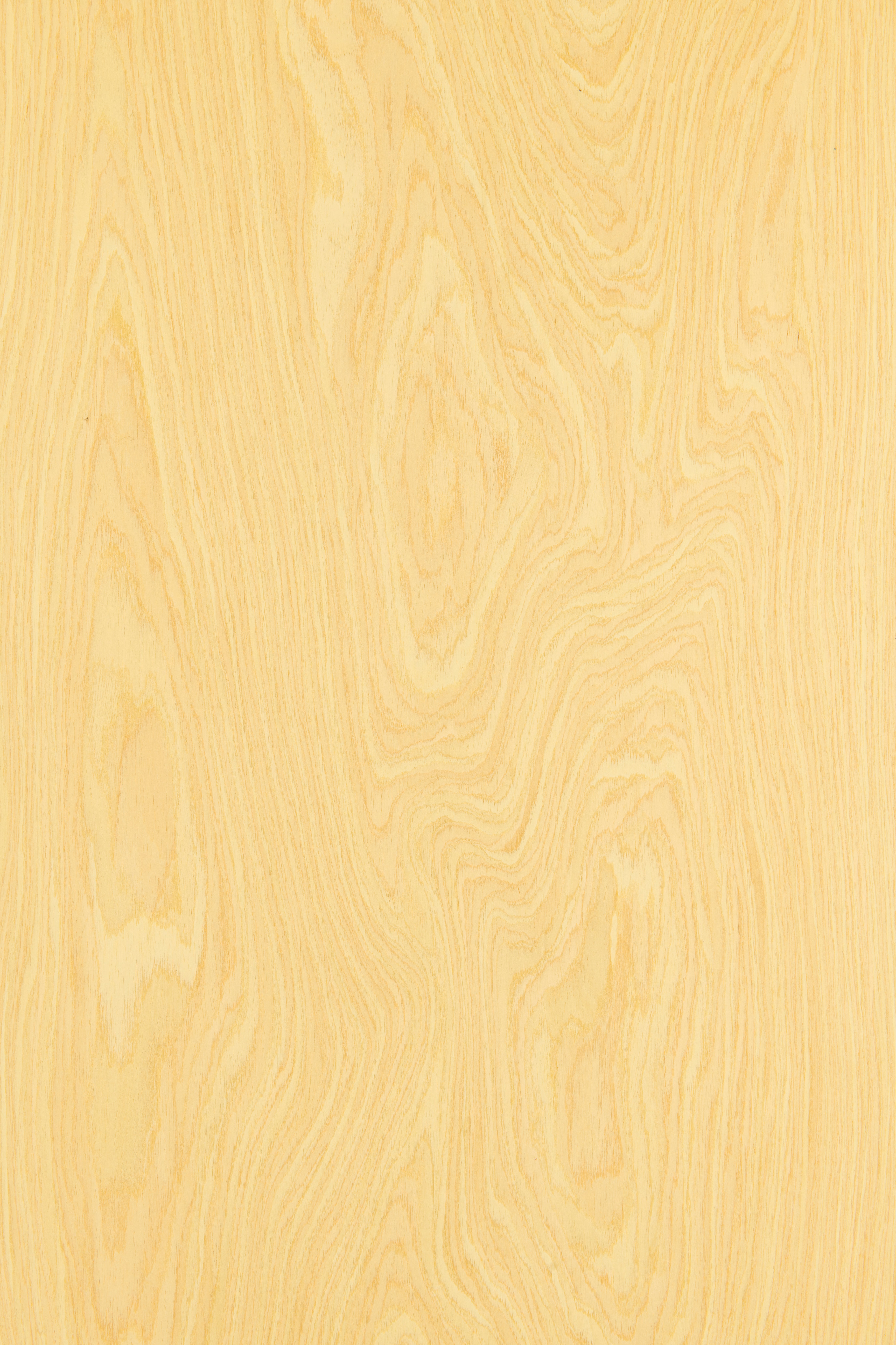 Polaris Pine