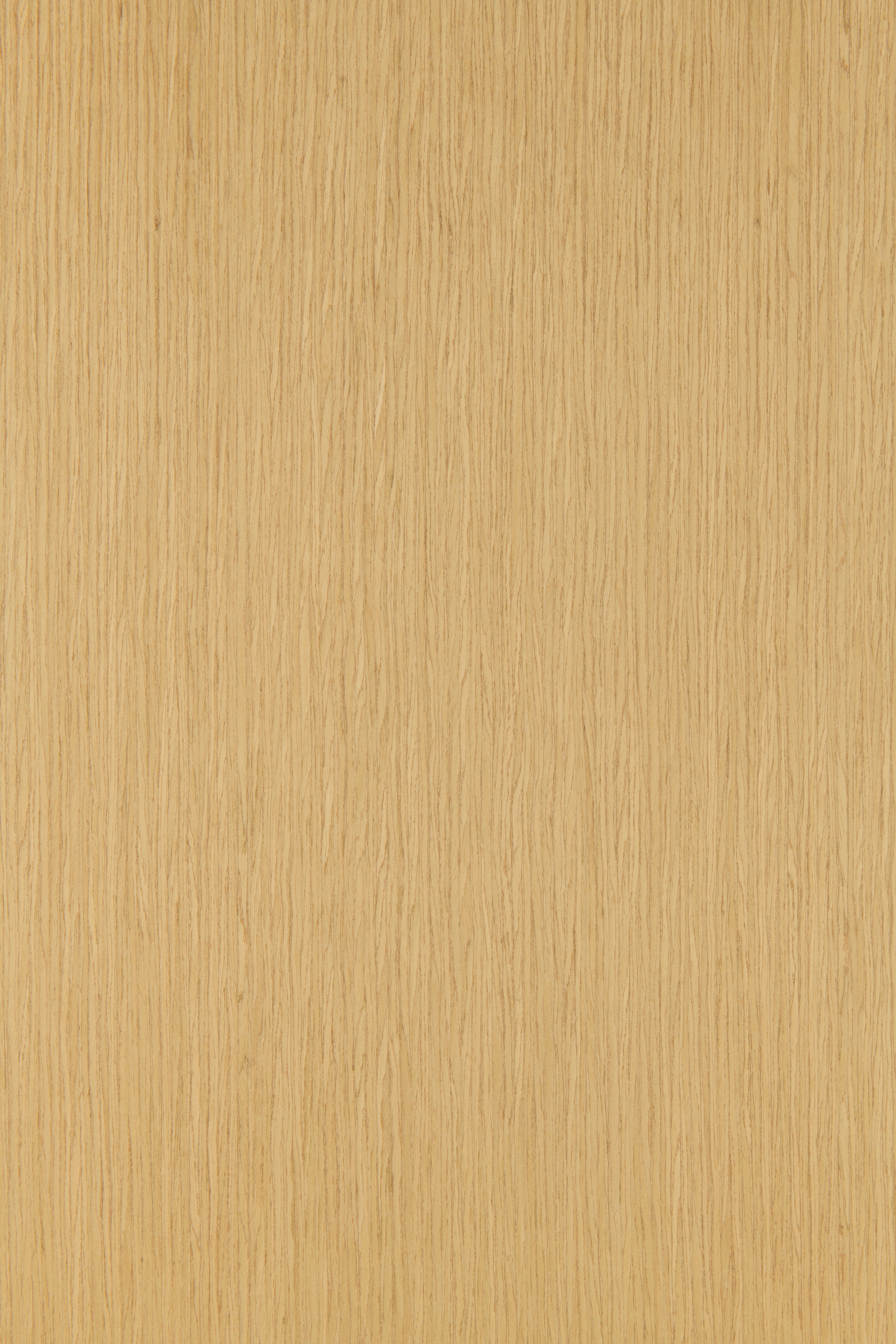Rana Oak