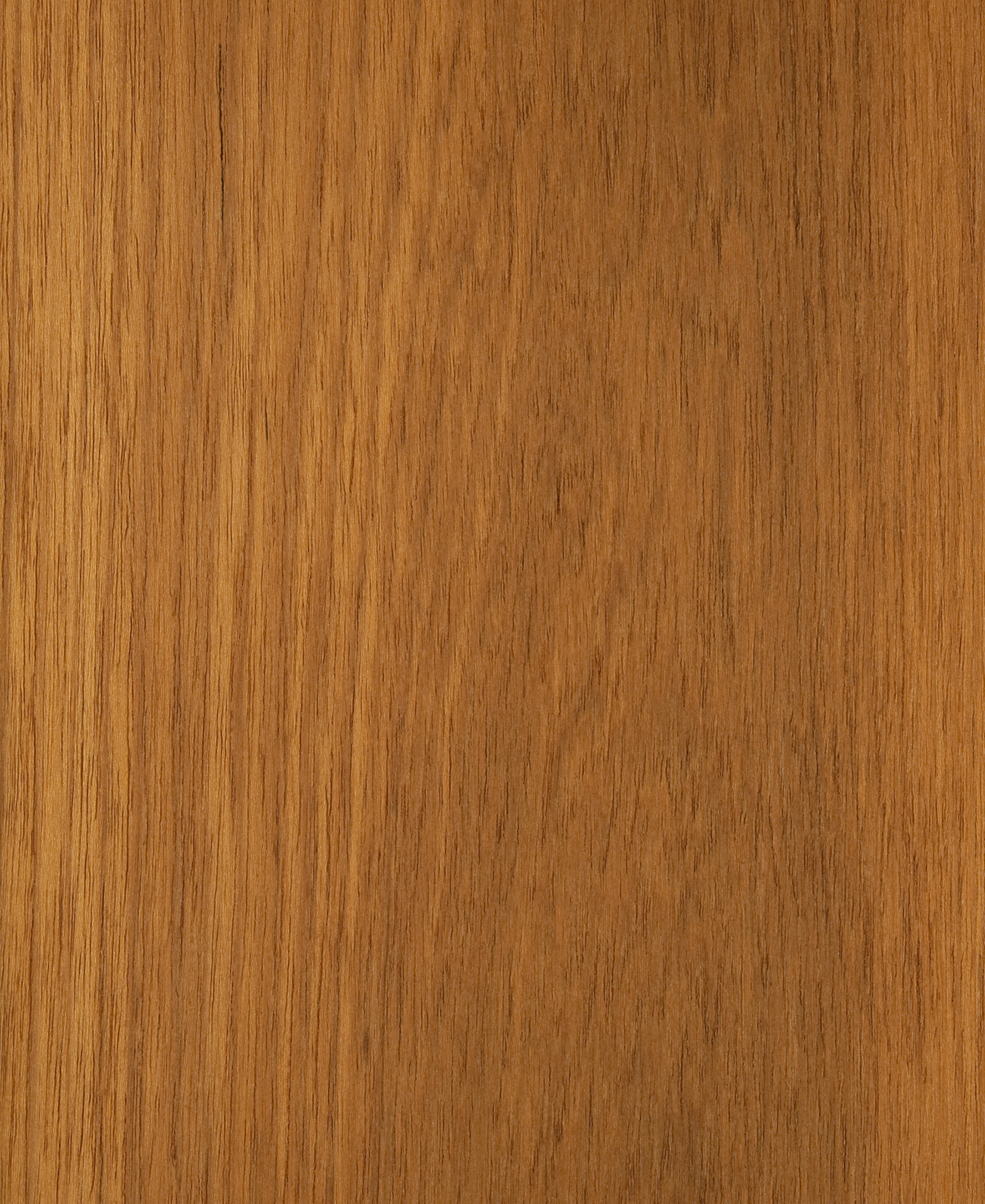 Teak Blond