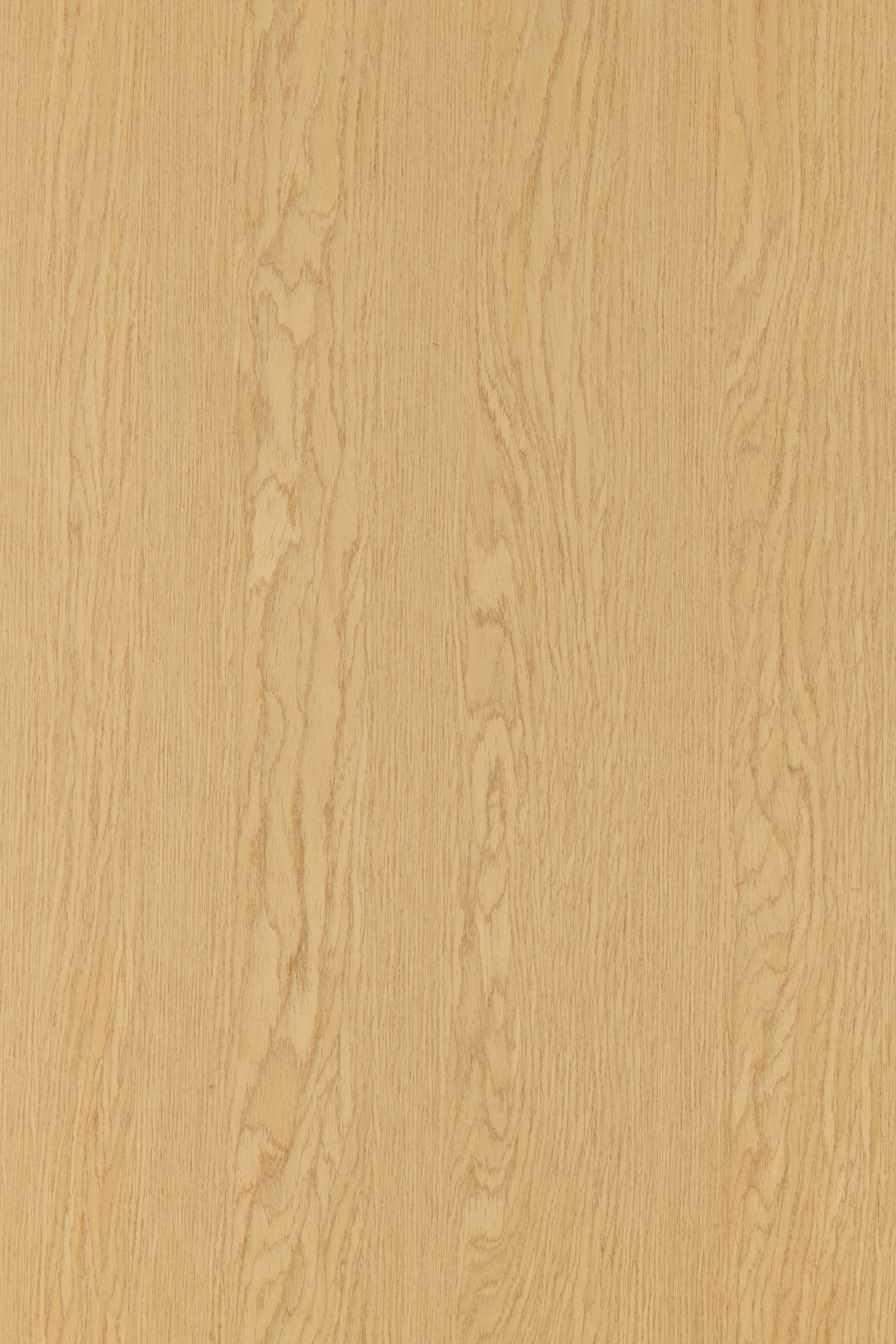 Vela Oak