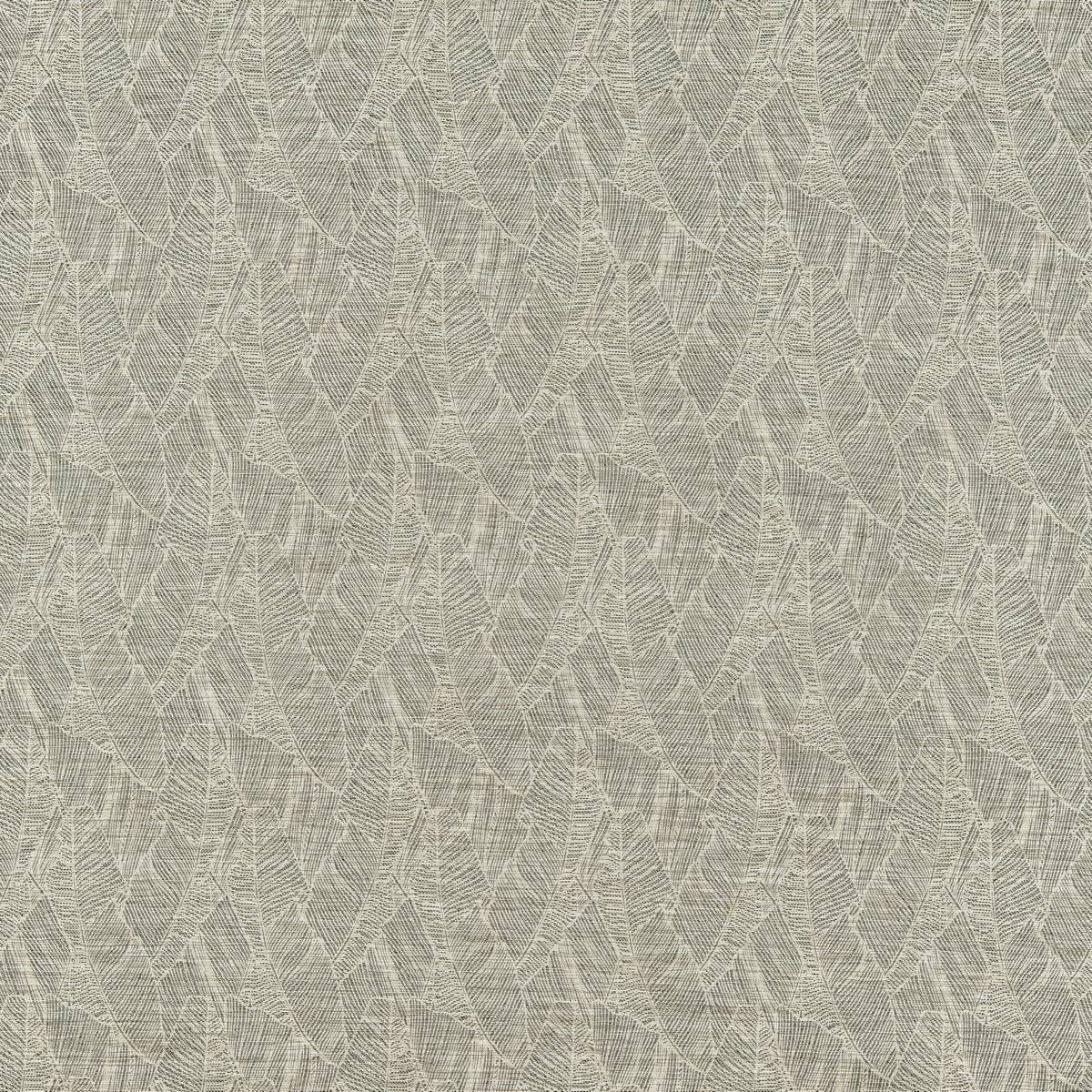 Eucalyptus