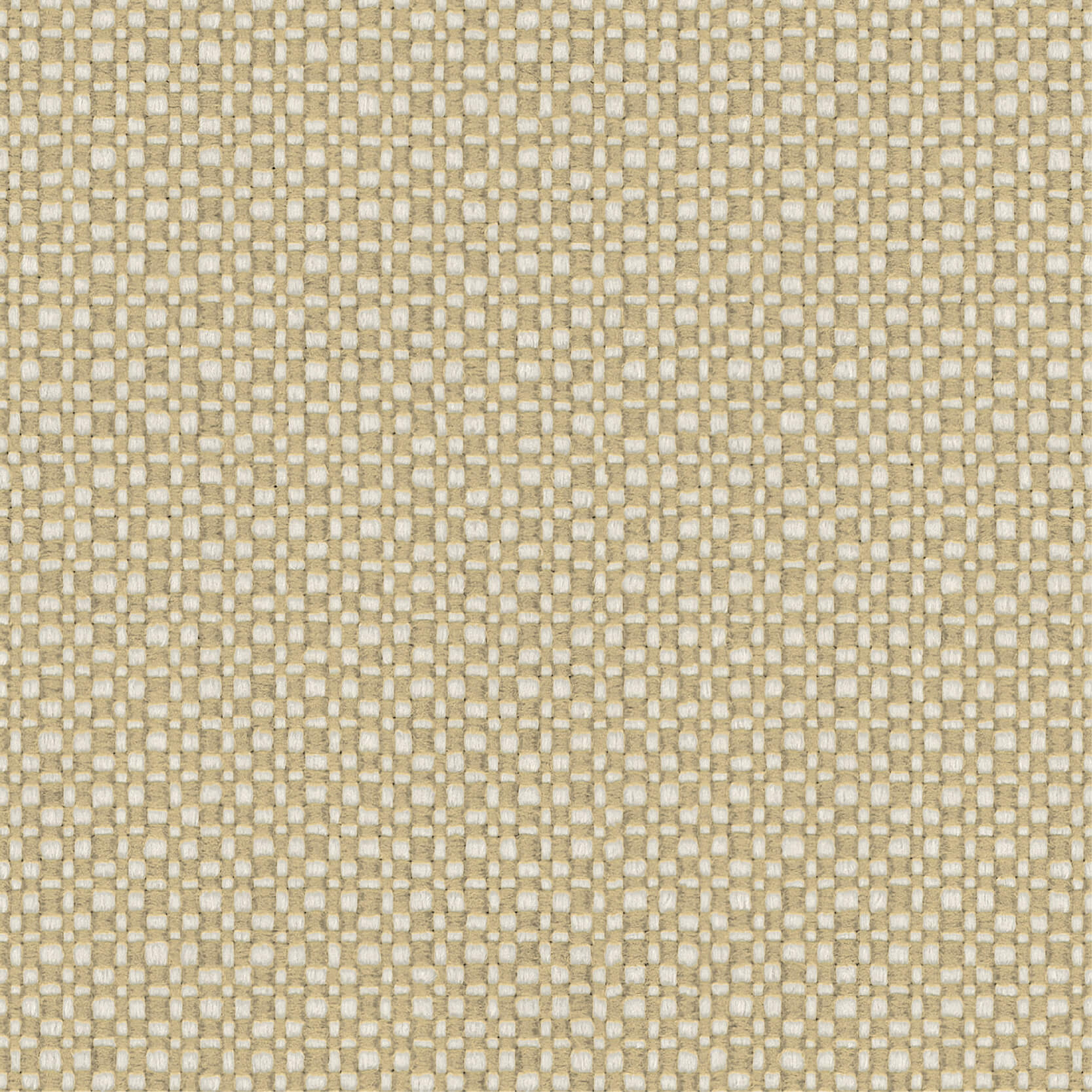 Loom