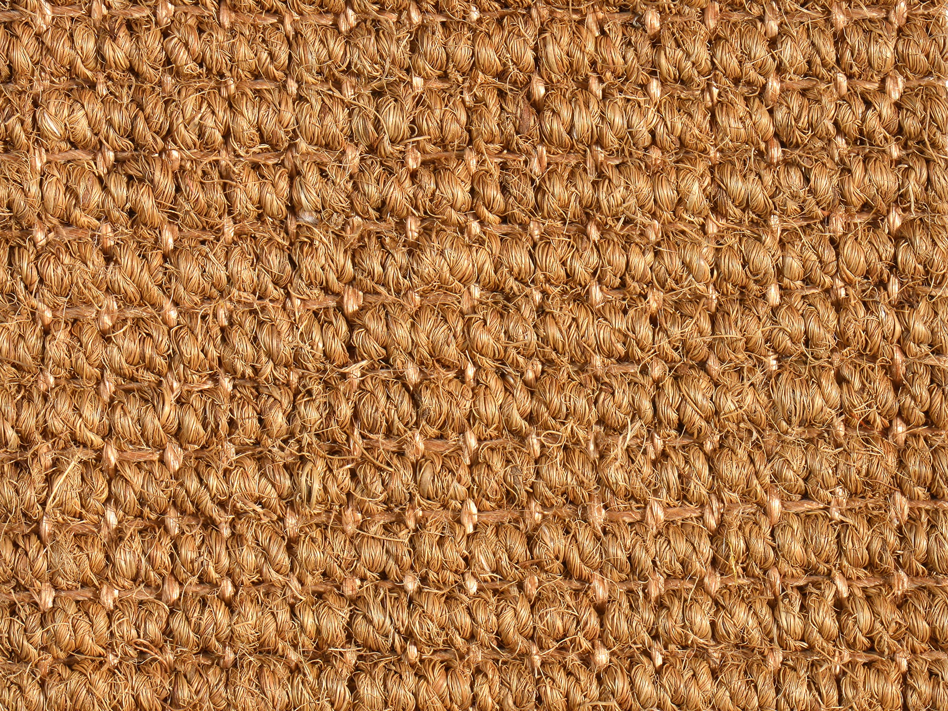 Calicut Tiles